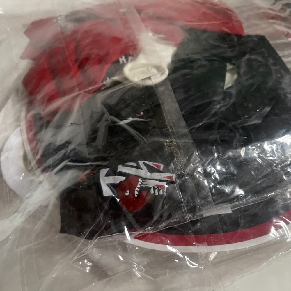 Toronto Raptors Basketball Party Kit - Picture 8 of 9